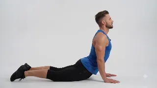 Cobra Stretch