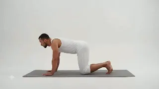 Donkey Kicks Left