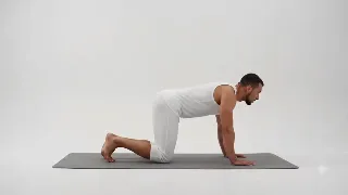 Donkey Kicks Right